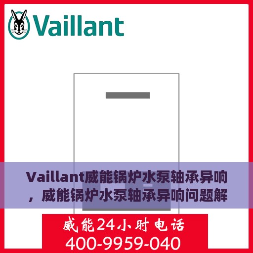 Vaillant威能锅炉水泵轴承异响，威能锅炉水泵轴承异响问题解析与应对之道