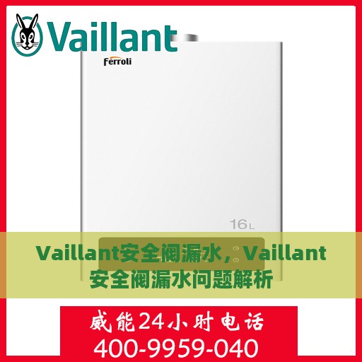 Vaillant安全阀漏水，Vaillant安全阀漏水问题解析