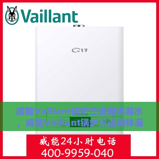 威能Vaillant锅炉三通阀体漏水，威能Vaillant锅炉三通阀体漏水原因及解决方案探讨