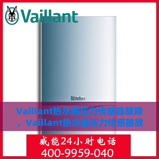Vaillant热水器压力传感器故障，Vaillant热水器压力传感器故障解析与应对之道