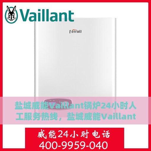 盐城威能Vaillant锅炉24小时人工服务热线，盐城威能Vaillant锅炉全天候人工服务热线支持
