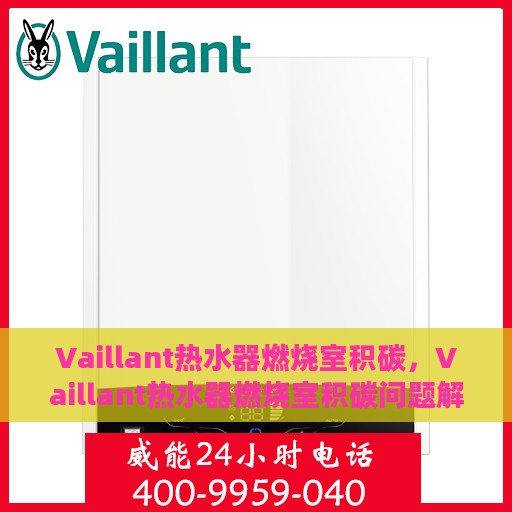 Vaillant热水器燃烧室积碳，Vaillant热水器燃烧室积碳问题解析与应对方案