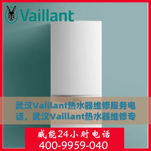 武汉Vaillant热水器维修服务电话，武汉Vaillant热水器维修专线，专业快速解决您的热水器问题