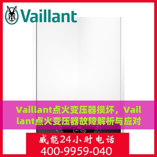 Vaillant点火变压器损坏，Vaillant点火变压器故障解析与应对之道