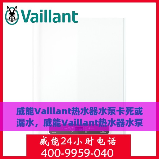 威能Vaillant热水器水泵卡死或漏水，威能Vaillant热水器水泵故障及漏水问题解析