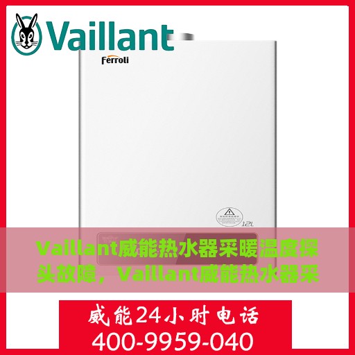 Vaillant威能热水器采暖温度探头故障，Vaillant威能热水器采暖温度探头故障解析与解决方案