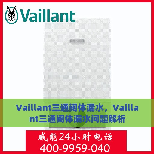 Vaillant三通阀体漏水，Vaillant三通阀体漏水问题解析