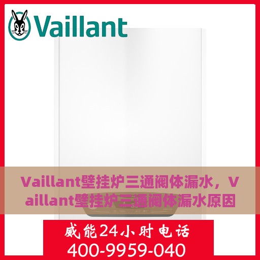Vaillant壁挂炉三通阀体漏水，Vaillant壁挂炉三通阀体漏水原因及解决方法探讨
