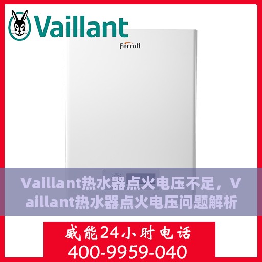 Vaillant热水器点火电压不足，Vaillant热水器点火电压问题解析