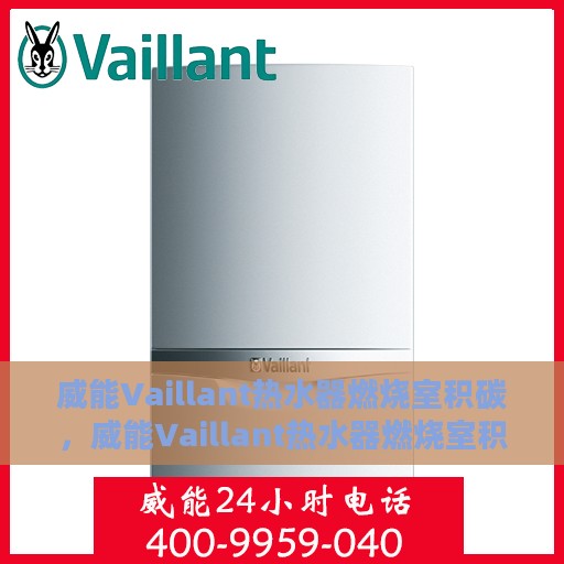 威能Vaillant热水器燃烧室积碳，威能Vaillant热水器燃烧室积碳问题解析与处理指南