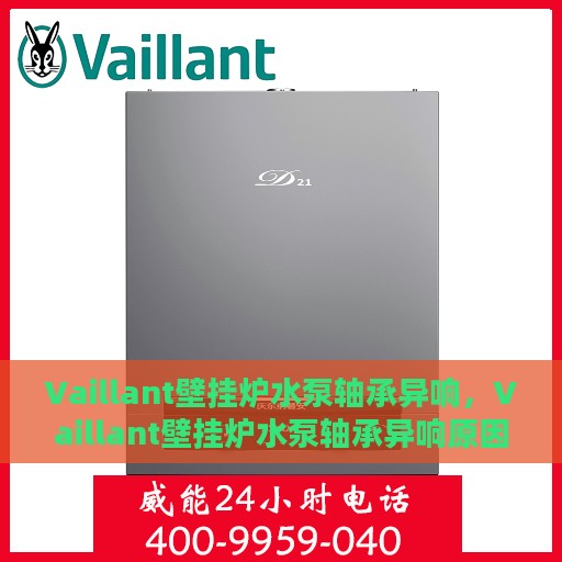 Vaillant壁挂炉水泵轴承异响，Vaillant壁挂炉水泵轴承异响原因解析与解决方案