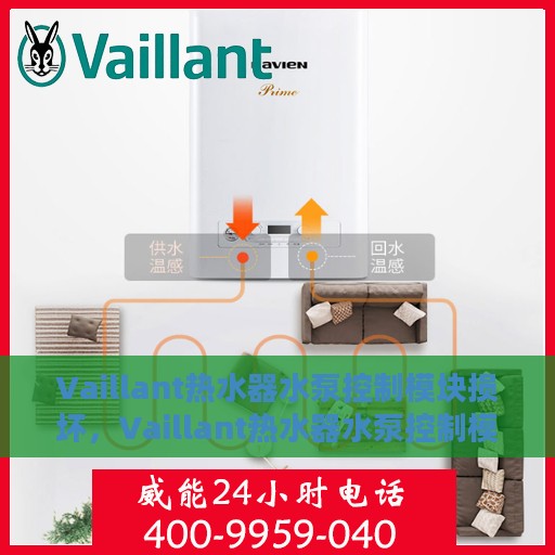 Vaillant热水器水泵控制模块损坏，Vaillant热水器水泵控制模块故障解析与修复指南