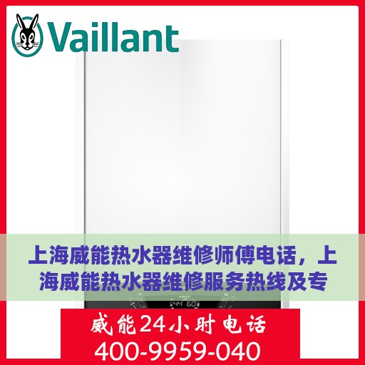 上海威能热水器维修师傅电话，上海威能热水器维修服务热线及专业师傅团队联系方式揭秘