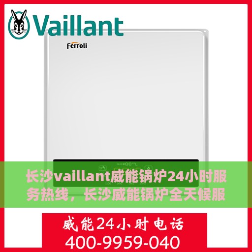 长沙vaillant威能锅炉24小时服务热线，长沙威能锅炉全天候服务热线，专业快速响应您的需求