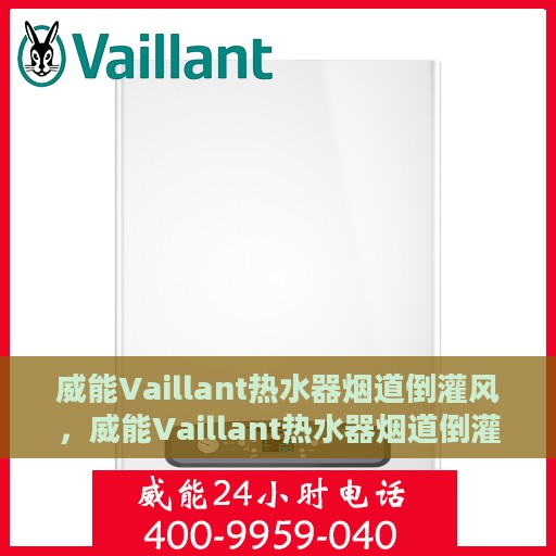 威能Vaillant热水器烟道倒灌风，威能Vaillant热水器烟道倒灌风问题解析与应对指南