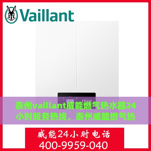 泰州vaillant威能燃气热水器24小时服务热线，泰州威能燃气热水器全天候服务热线，专业快速响应您的需求