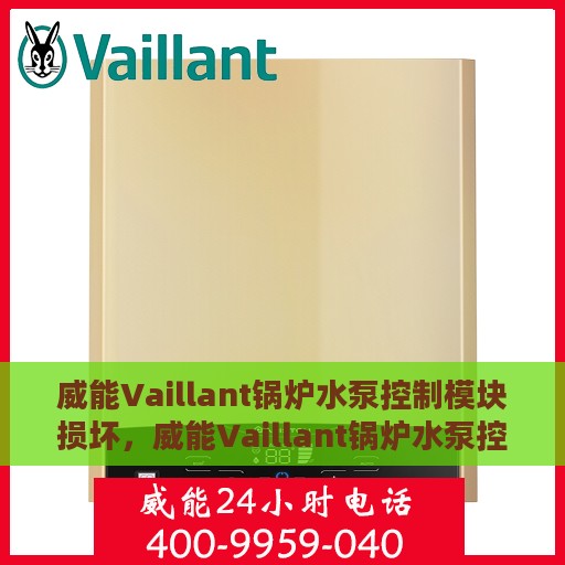 威能Vaillant锅炉水泵控制模块损坏，威能Vaillant锅炉水泵控制模块故障解析与修复指南