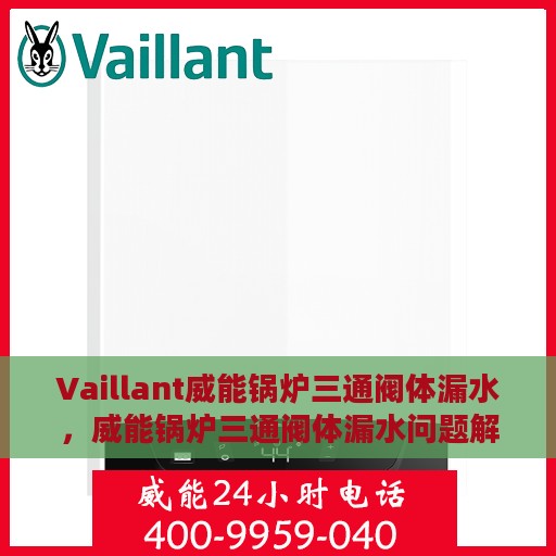 Vaillant威能锅炉三通阀体漏水，威能锅炉三通阀体漏水问题解析与应对方案