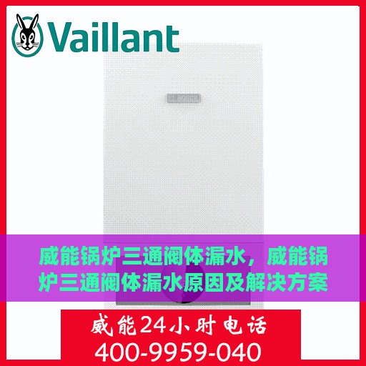 威能锅炉三通阀体漏水，威能锅炉三通阀体漏水原因及解决方案探讨