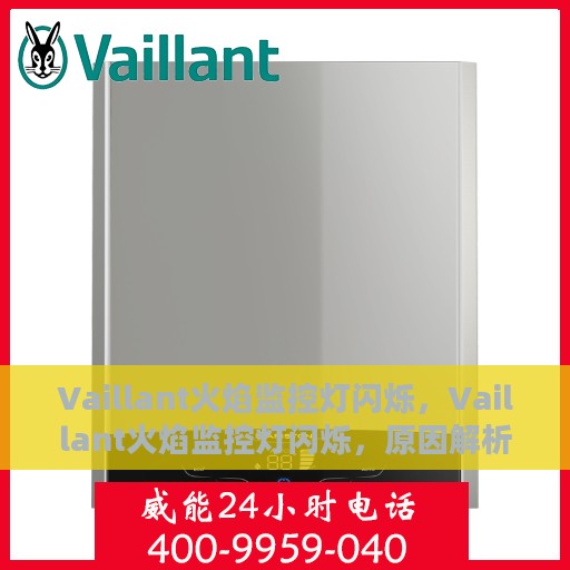 Vaillant火焰监控灯闪烁，Vaillant火焰监控灯闪烁，原因解析与应对之策
