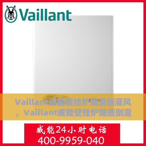 Vaillant威能壁挂炉烟道倒灌风，Vaillant威能壁挂炉烟道倒灌风问题解析与处理指南