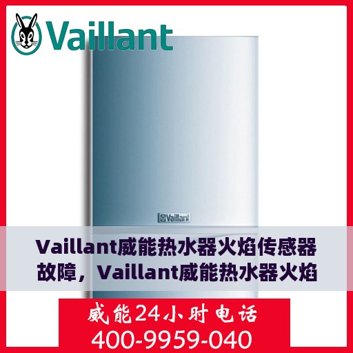 Vaillant威能热水器火焰传感器故障，Vaillant威能热水器火焰传感器故障解析与处理指南