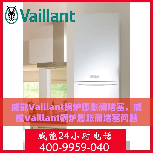 威能Vaillant锅炉膨胀阀堵塞，威能Vaillant锅炉膨胀阀堵塞问题解析
