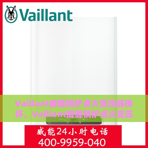 Vaillant威能锅炉点火变压器损坏，Vaillant威能锅炉点火变压器故障解析