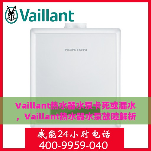 Vaillant热水器水泵卡死或漏水，Vaillant热水器水泵故障解析，卡死与漏水问题探讨