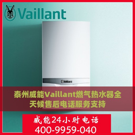泰州威能Vaillant燃气热水器全天候售后电话服务支持