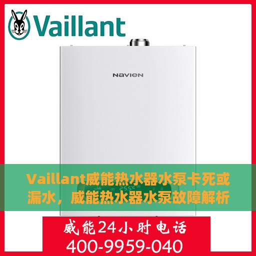 Vaillant威能热水器水泵卡死或漏水，威能热水器水泵故障解析，卡死与漏水问题探讨