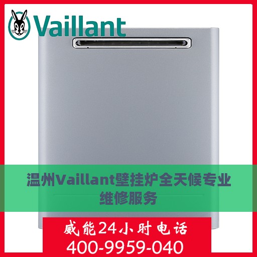 温州Vaillant壁挂炉全天候专业维修服务