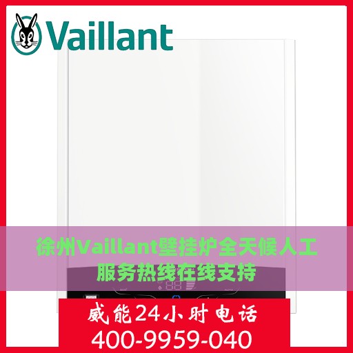 徐州Vaillant壁挂炉全天候人工服务热线在线支持