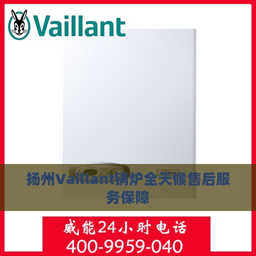 扬州Vaillant锅炉全天候售后服务保障