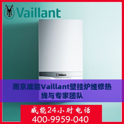 南京威能Vaillant壁挂炉维修热线与专家团队