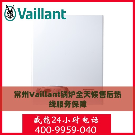 常州Vaillant锅炉全天候售后热线服务保障