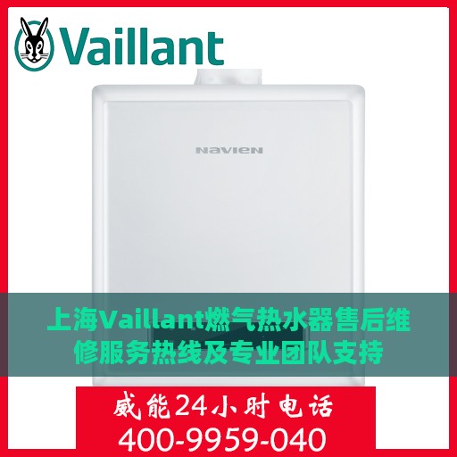 上海Vaillant燃气热水器售后维修服务热线及专业团队支持