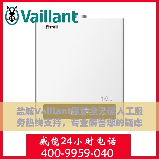 盐城Vaillant锅炉全天候人工服务热线支持，专业解答您的疑虑