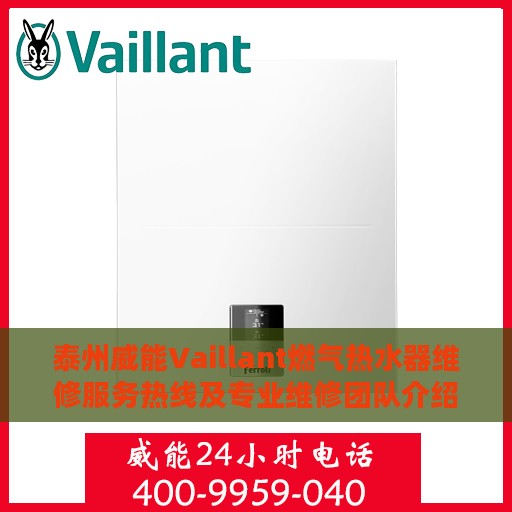 泰州威能Vaillant燃气热水器维修服务热线及专业维修团队介绍
