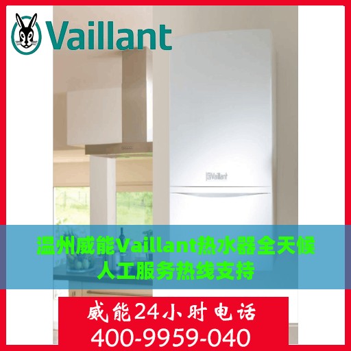 温州威能Vaillant热水器全天候人工服务热线支持