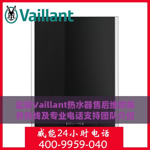 盐城Vaillant热水器售后维修服务热线及专业电话支持团队介绍