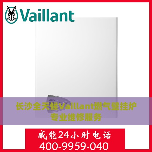 长沙全天候Vaillant燃气壁挂炉专业维修服务
