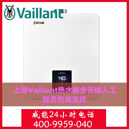 上海Vaillant热水器全天候人工服务热线支持