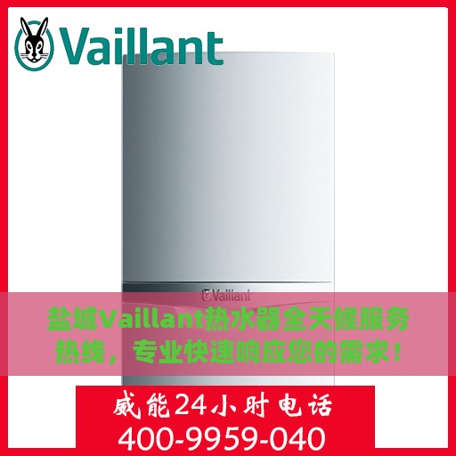盐城Vaillant热水器全天候服务热线，专业快速响应您的需求！