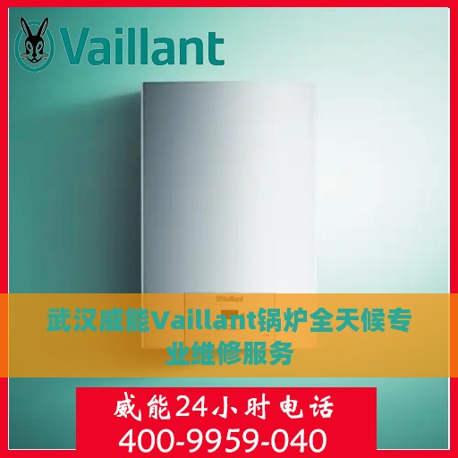 武汉威能Vaillant锅炉全天候专业维修服务