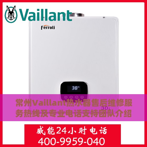 常州Vaillant热水器售后维修服务热线及专业电话支持团队介绍