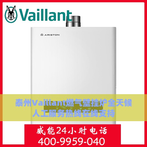 泰州Vaillant燃气壁挂炉全天候人工服务热线在线支持