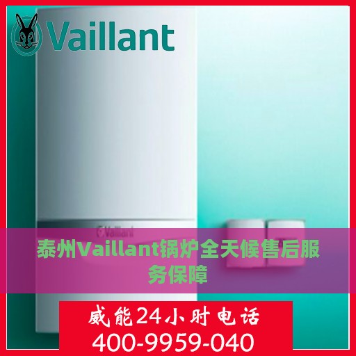 泰州Vaillant锅炉全天候售后服务保障