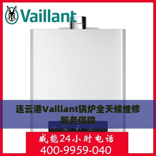 连云港Vaillant锅炉全天候维修服务保障