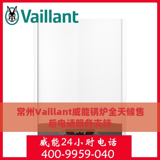 常州Vaillant威能锅炉全天候售后电话服务支持